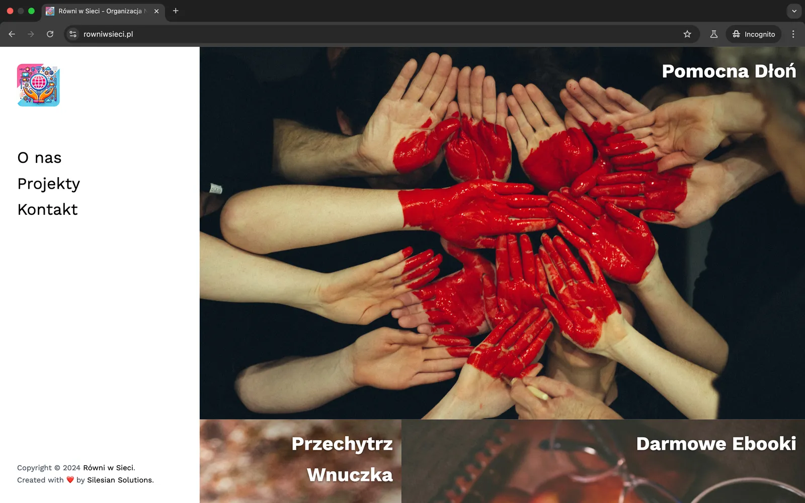 Strona główna Równi w Sieci - organizacja non-profit przeciwdziałająca wykluczeniu cyfrowemu