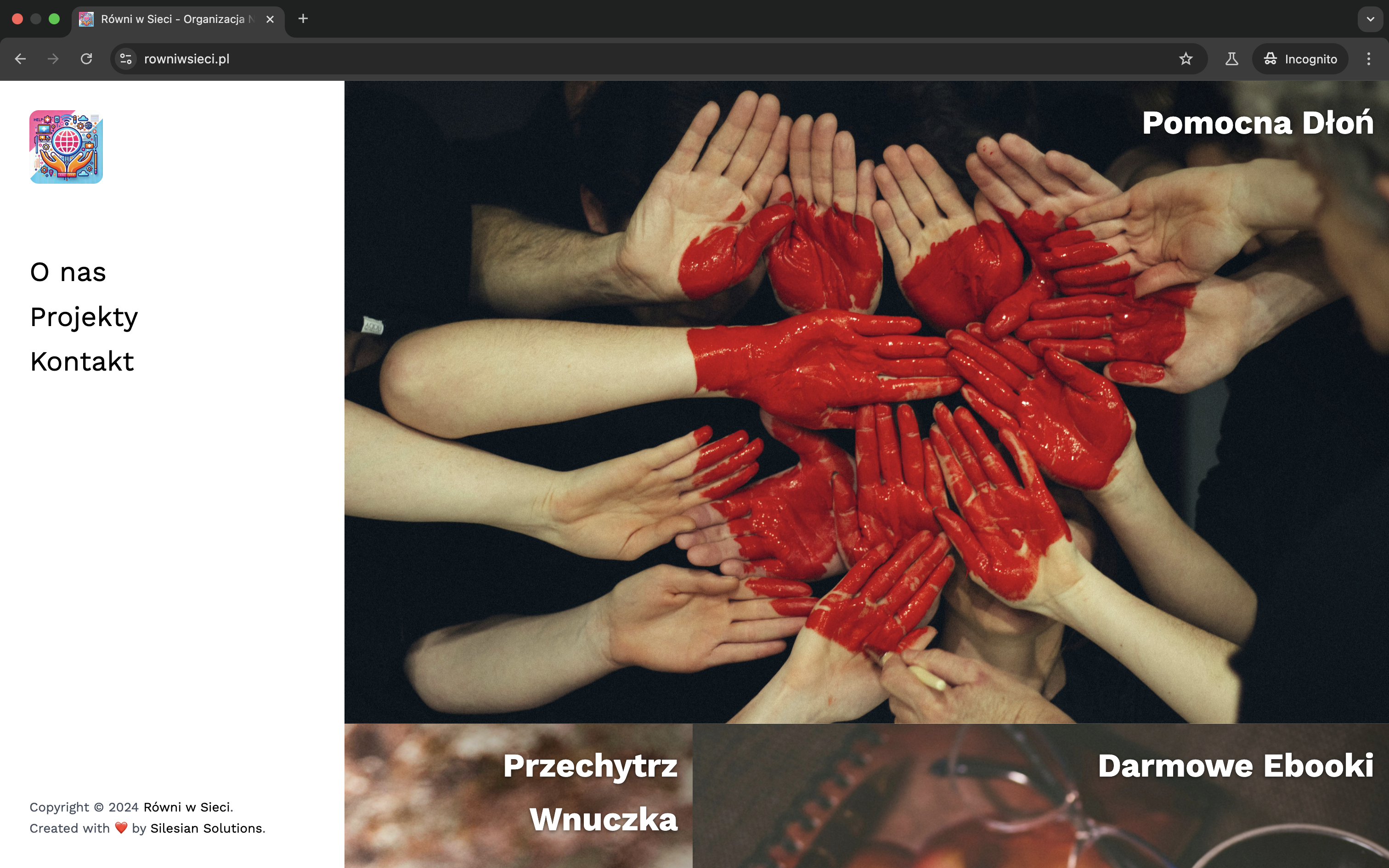 Strona główna Równi w Sieci - organizacja non-profit przeciwdziałająca wykluczeniu cyfrowemu